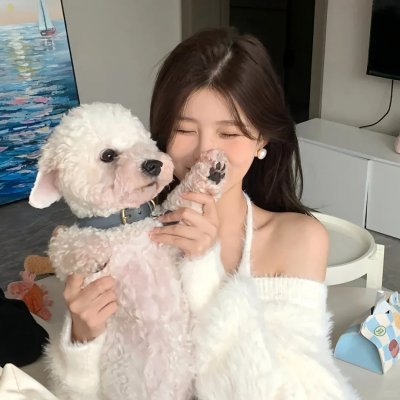 金部长的梦想人生